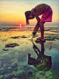 Dog standing on beach at sunset