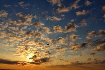 Low angle view of bird flying in sky