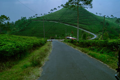 Road amidst agricultural field against sky