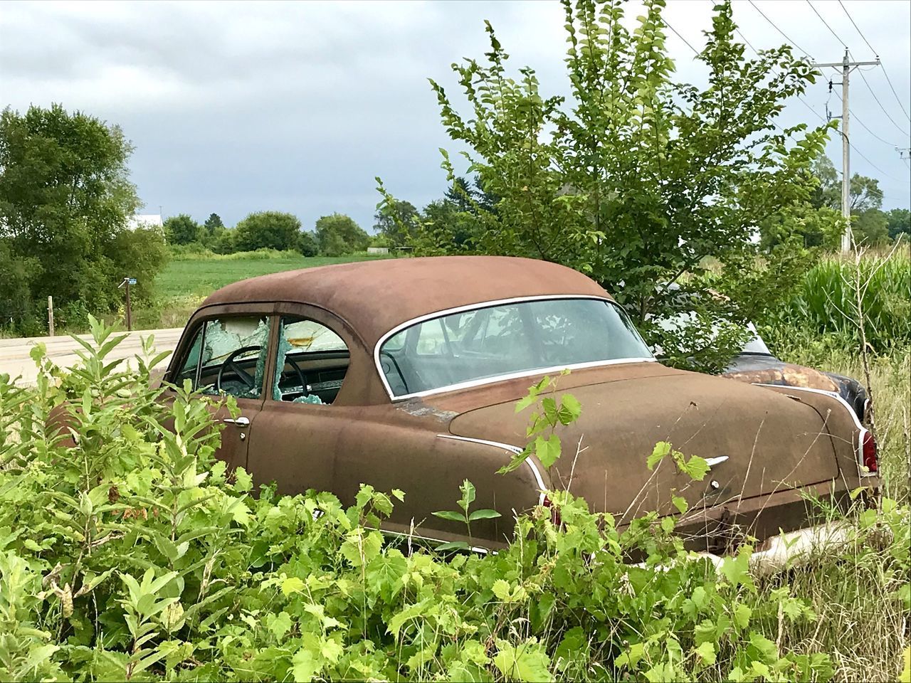 VIEW OF ABANDONED CAR ON FIELD