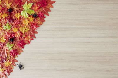 High angle view of flowering plants on table