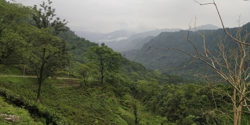 environment