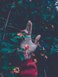 Close-up of human hand by flowering plant