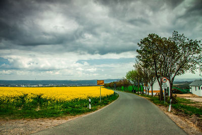 Road amidst trees and yellow flowers against sky