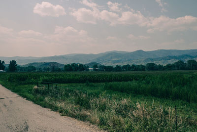 Scenic view of field against sky