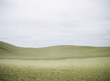 Scenic view of landscape against clear sky