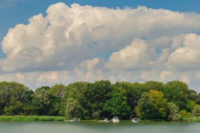 Scenic view of trees by river against sky