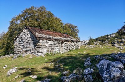 Plants growing on rock by building against clear blue sky