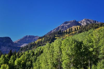 mountain