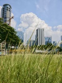 Grassy field against sky