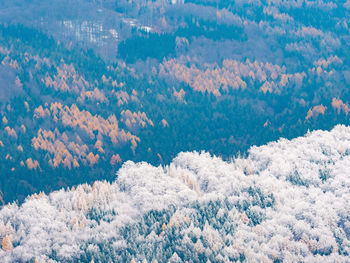 Picturesque mountain road. autumn landscape with a morning mist. beautiful forest in the hills