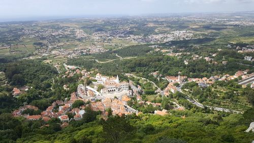 High angle view of townscape and trees in town
