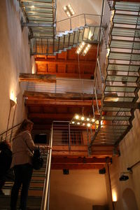 Rear view of woman working on ceiling