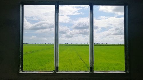 Scenic view of field seen through window