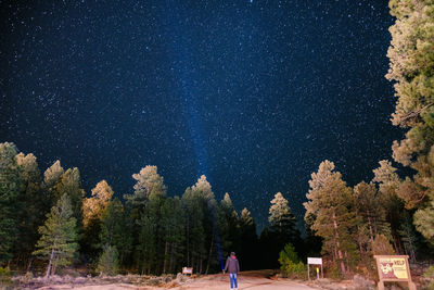 Scenic view of forest against sky at night