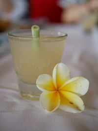 Close-up of drink on table