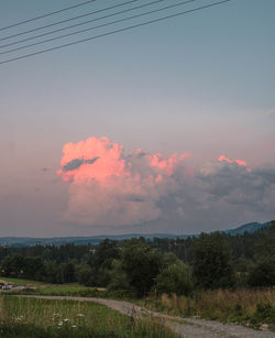 Scenic view of trees against sky during sunset