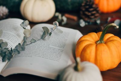Close-up of book and pumpkins on table