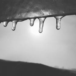 Close-up of ice crystals against clear sky