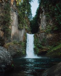 Scenic view of waterfall in forest