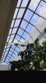 Low angle view of plants against cloudy sky