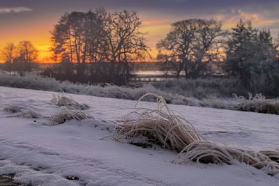 winter