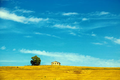 Scenic view of field against sky,  in tuscia near viterbo, lazio, italy