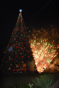 Firework display at night