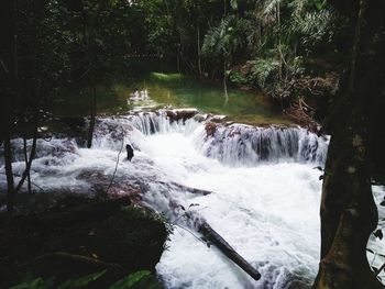 Scenic view of waterfall in forest