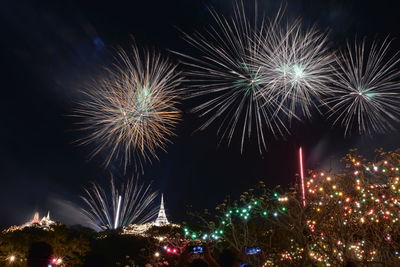 Firework display at night