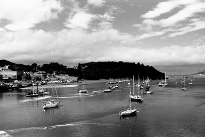 Sailboats moored in harbor