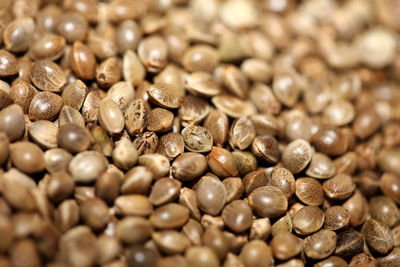 Full frame shot of beans