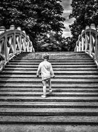 Rear view of woman walking on staircase