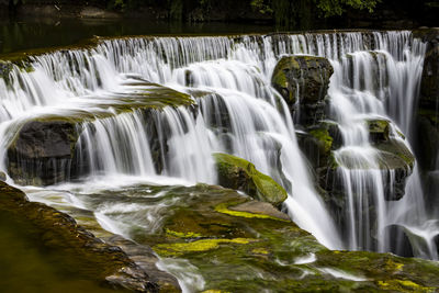 Scenic view of waterfall in forest