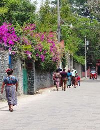 Rear view of people walking on street