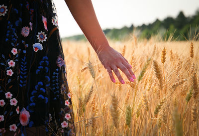 Midsection of woman touching crops while standing at farm