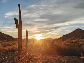 Wooden posts on field against sky during sunset