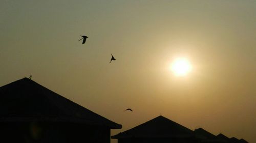 Low angle view of birds flying in sky