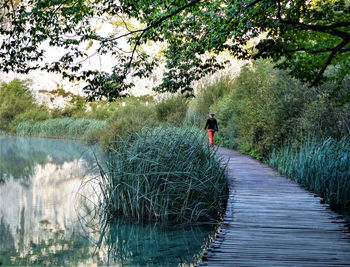 Rear view of man on lake against trees