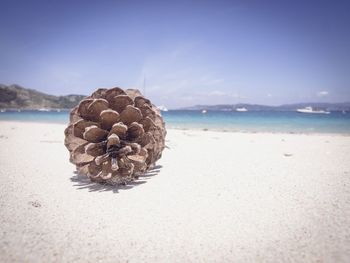 Sea shore against clear sky