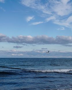 Seagulls flying over sea against sky