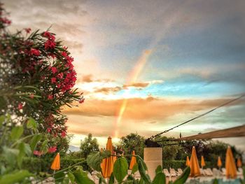 Rainbow over houses