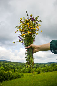Person holding flowering plant on field against sky