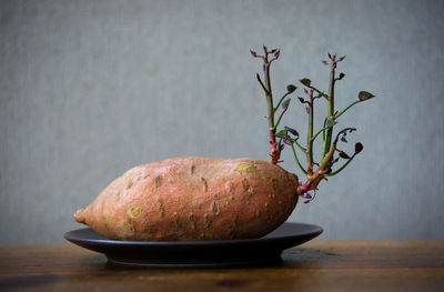 Close-up of sweet potato in plate on wooden table against wall