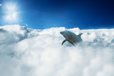 Low angle view of bird flying in sky