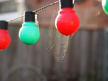 Close-up of christmas decoration