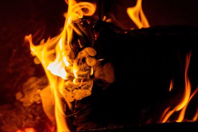 Close-up of fire burning at night