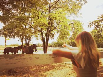 Rear view of woman standing by trees