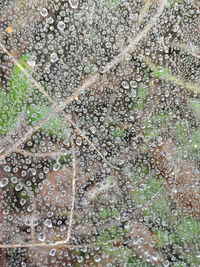 Full frame shot of water drops on spider web