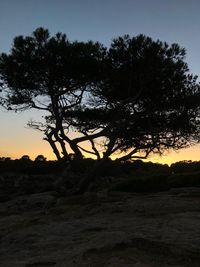 Silhouette trees on field against sky at sunset